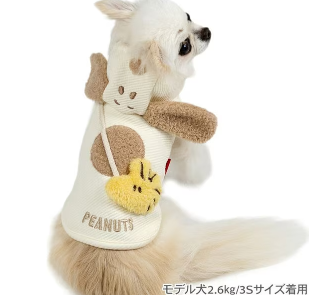 Snoopy Friends Hoodie