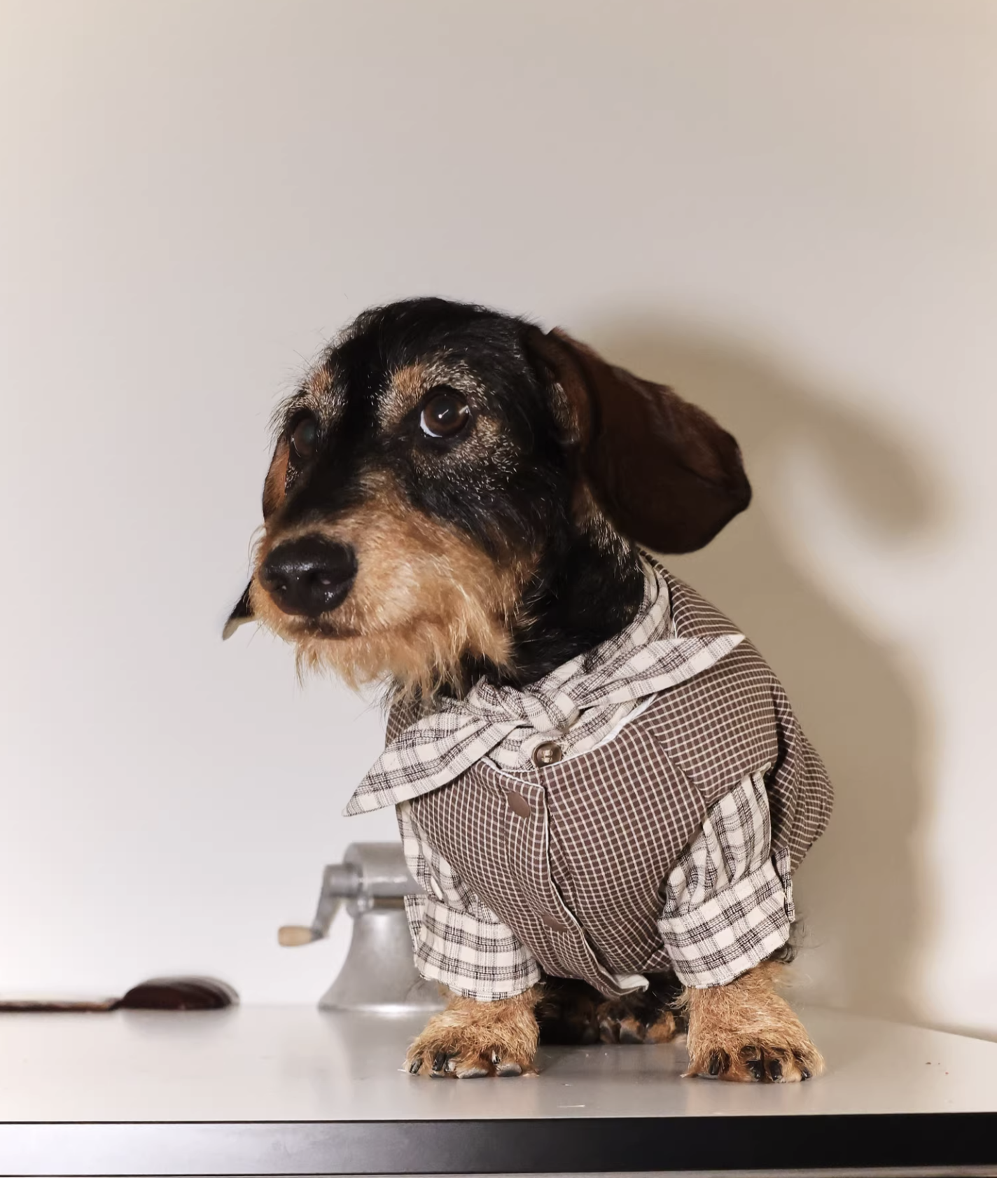 GT Series Hazelnut Plaid Tie-Neck Shirt