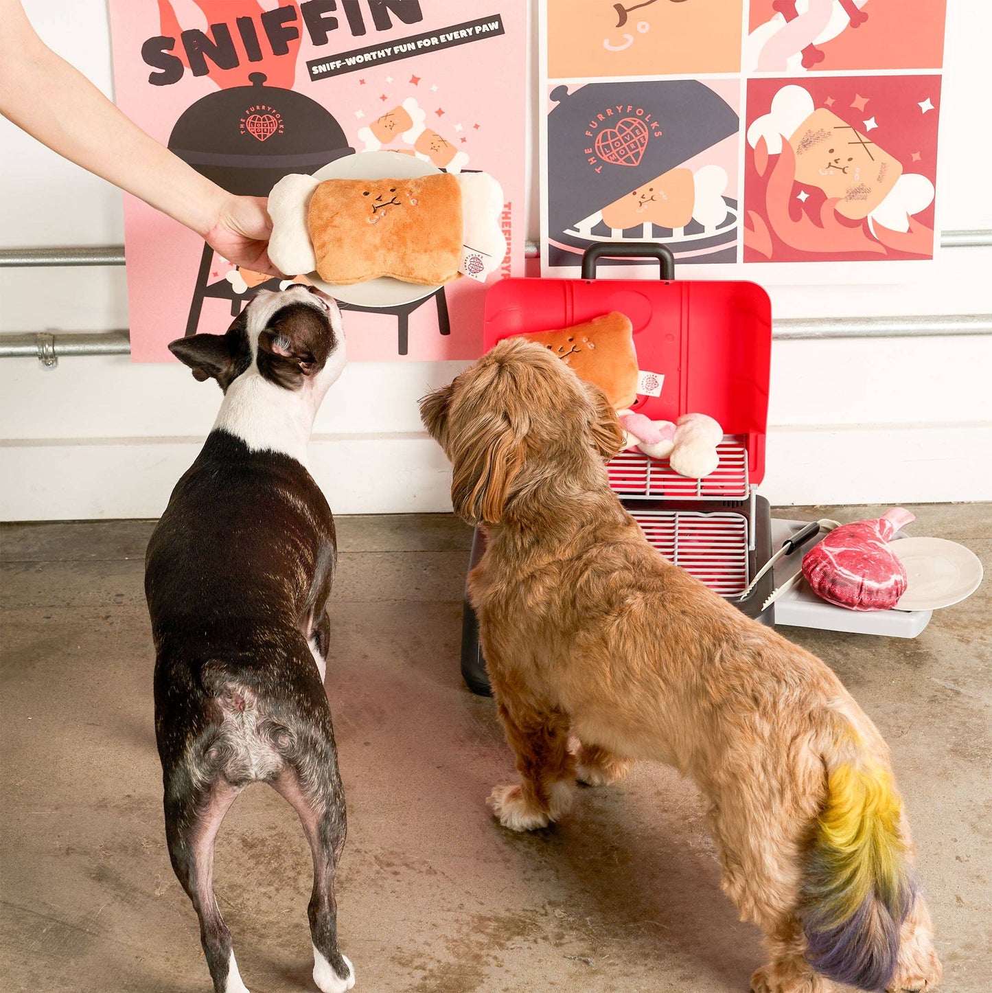 FurryFolks Bone Appétit Nosework Toy