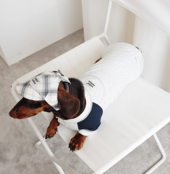 LG Series UPF50+ Anti-Bacterial Cooling Four-Legged Suit