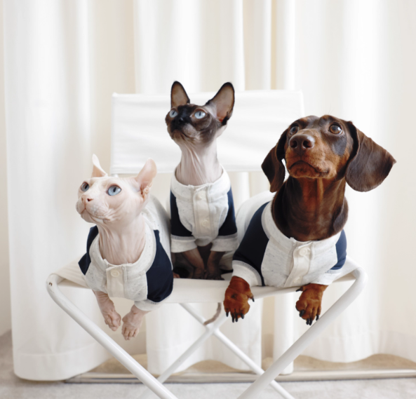 LG Series UPF50+ Anti-Bacterial Cooling Four-Legged Suit