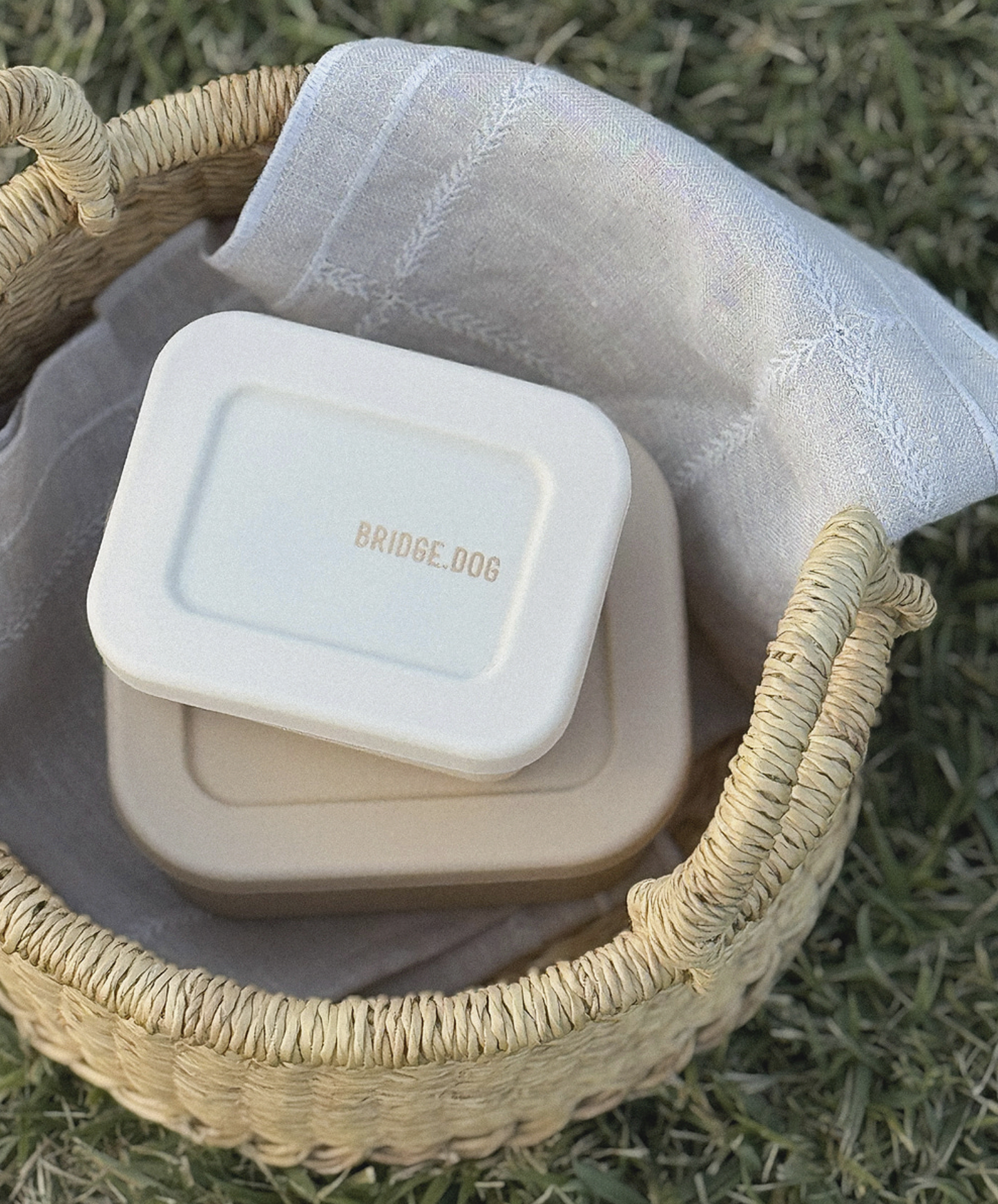 Bridge Dog DOG SI RAK Case CREAM