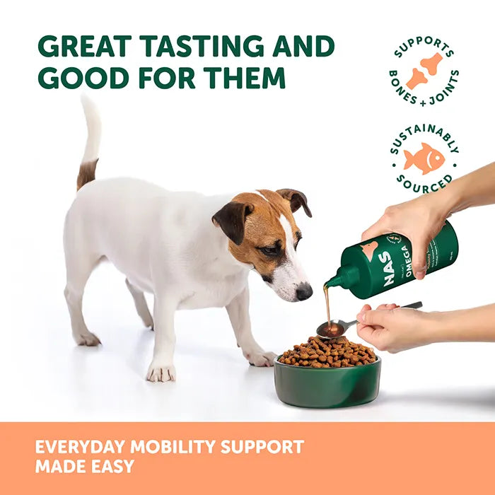 NAS Omega Oil Salmon 200ml