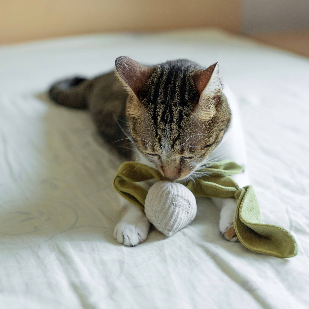 Kitty Radish | Cat Toy | Catnip