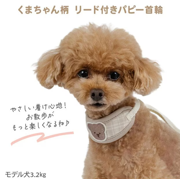 Collar with Leash Little Bear