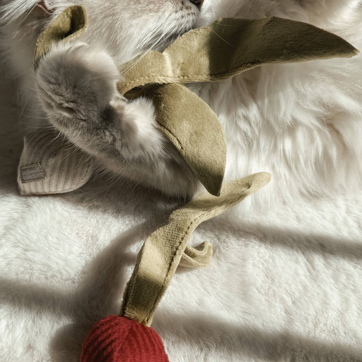 Kitty Radish | Cat Toy | Catnip