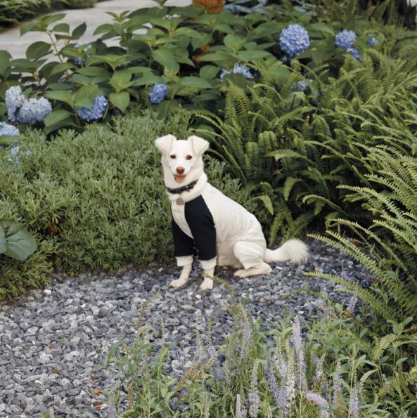 LG Series UPF50+ Anti-Bacterial Cooling Four-Legged Suit