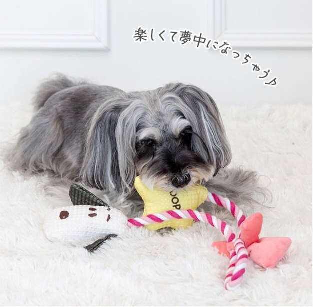 Valentine Star Snoopy Rope Toy