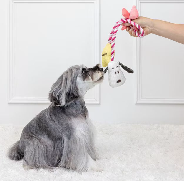 Valentine Star Snoopy Rope Toy