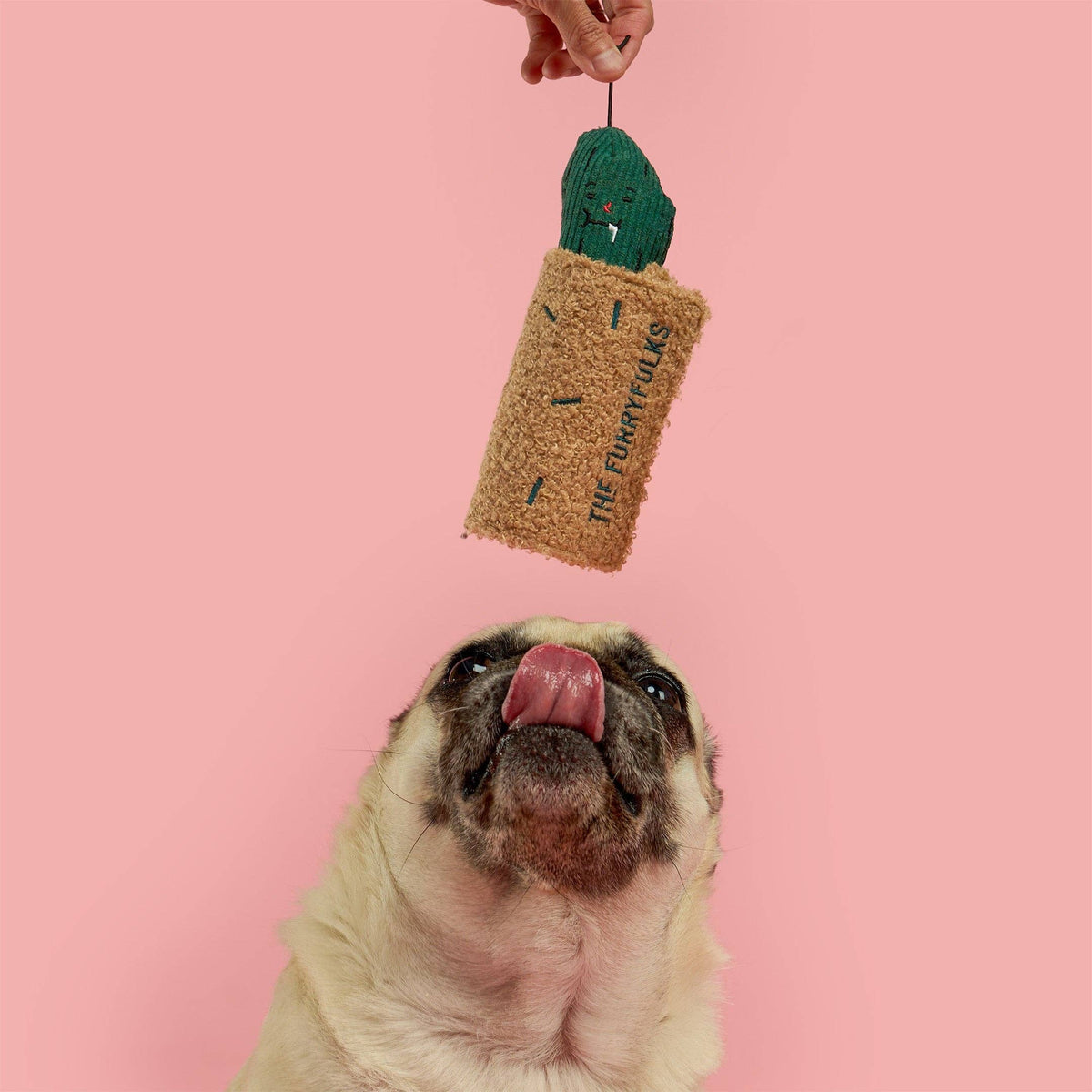 Fried Pickle Nosework Toy
