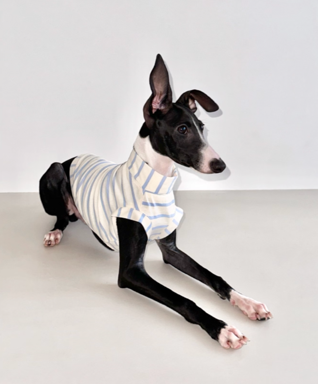 Blue n White Stripes Cotton Top