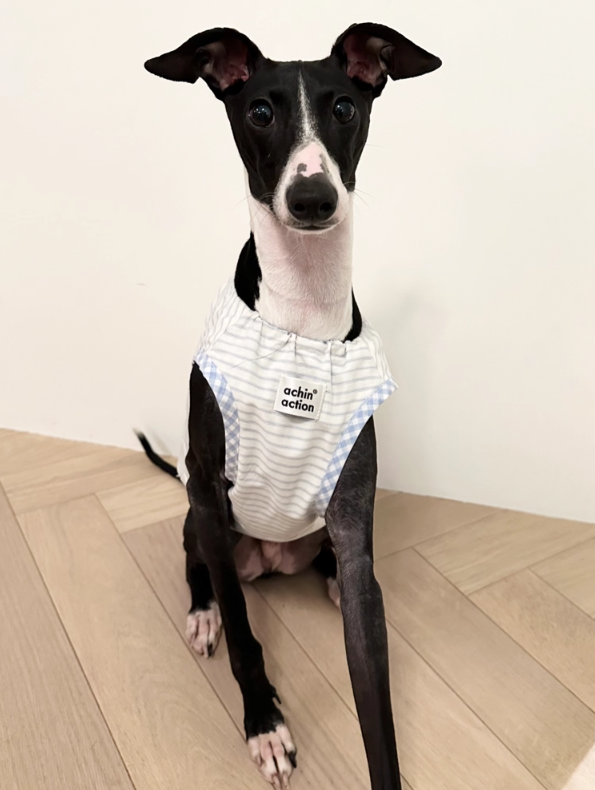 Double-Sided Summer Plaid Top