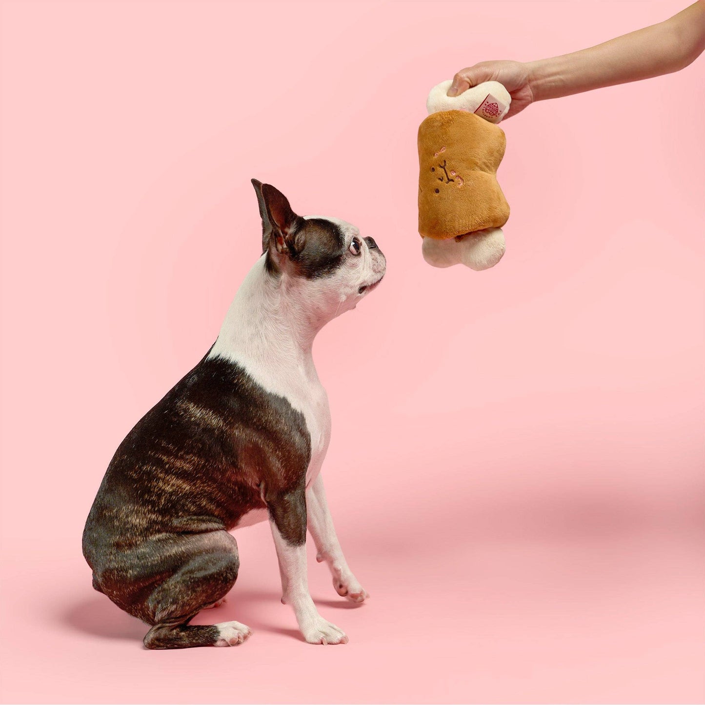 FurryFolks Bone Appétit Nosework Toy