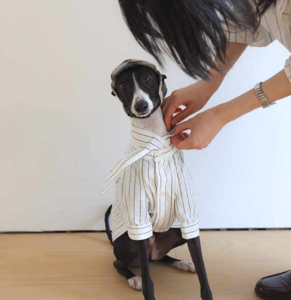 Achin Action Plaid Baseball Cap White