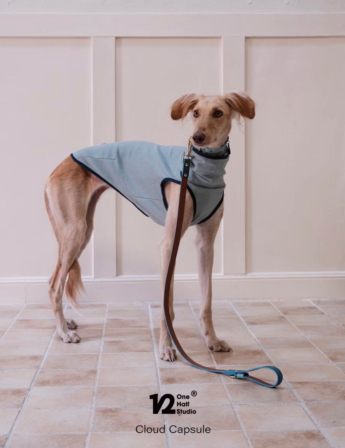 The Cloud Capsule Leather Pet Collar