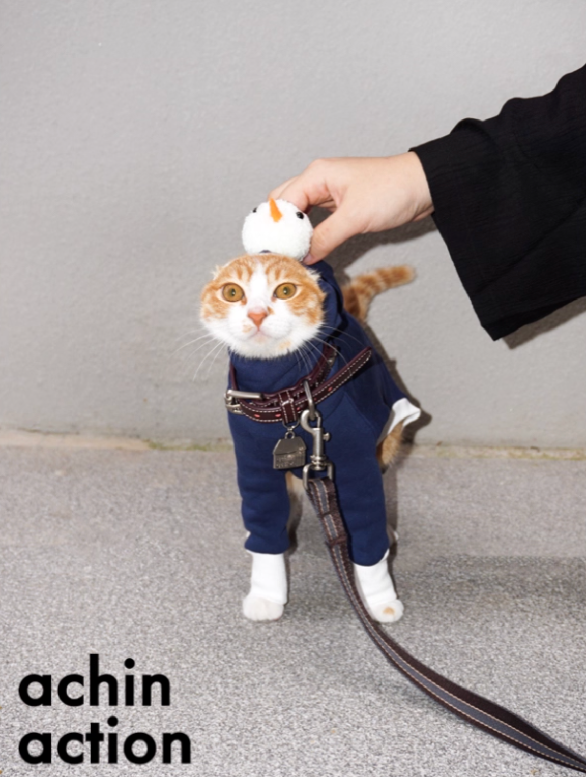 Snowman Hoody Four-Legged Suit