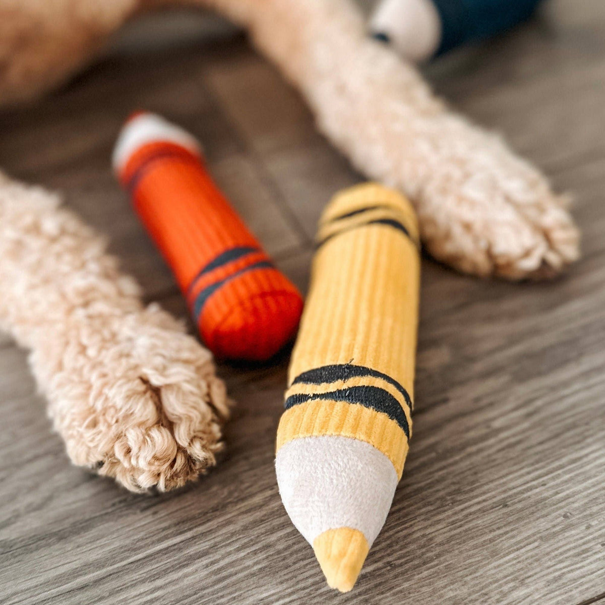 Crayons // Enrichment Toy | Squeaky + Snuffle Set