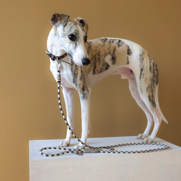 Diamond Lattice Braided Leash with Beads