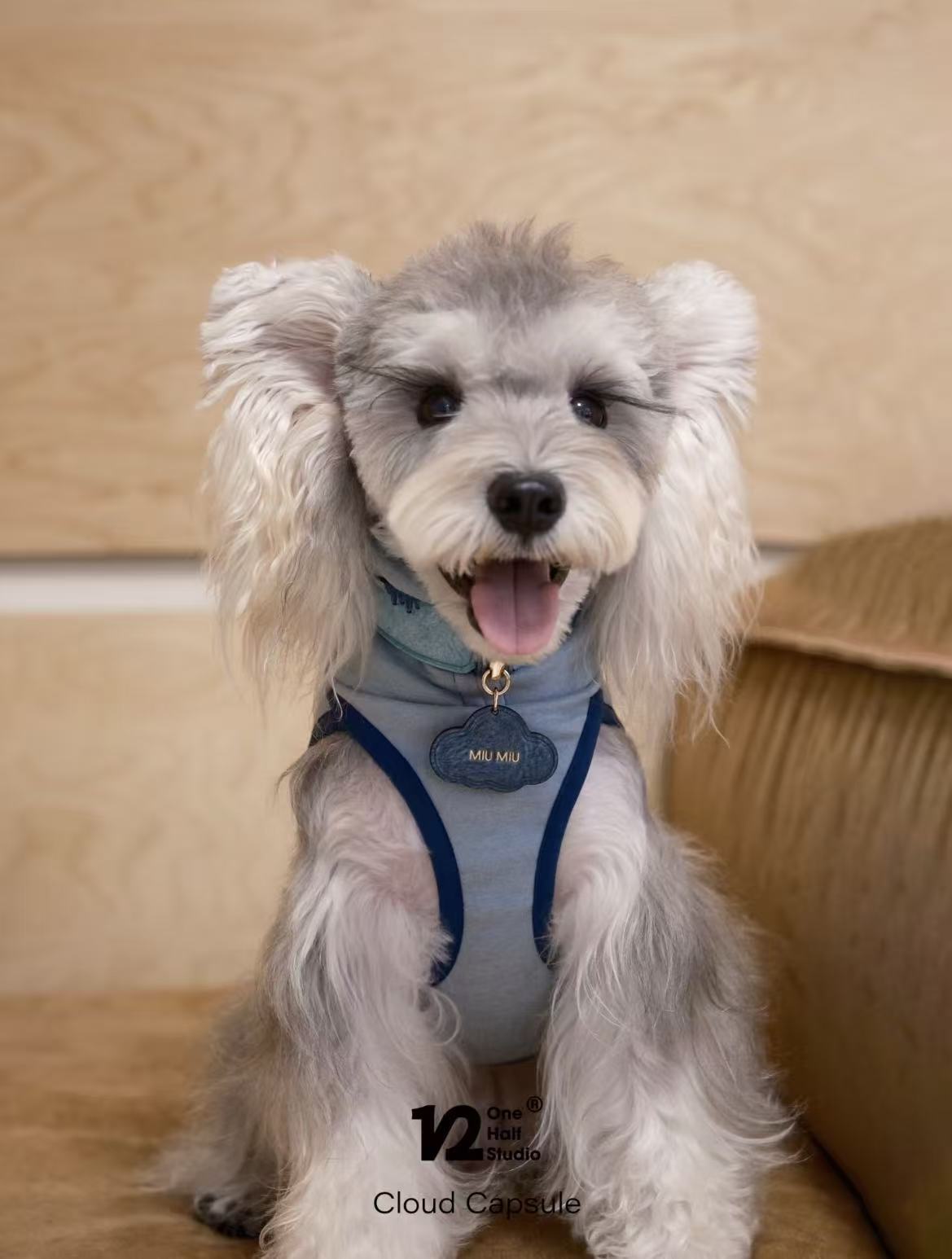 The Cloud Capsule Leather Pet Collar