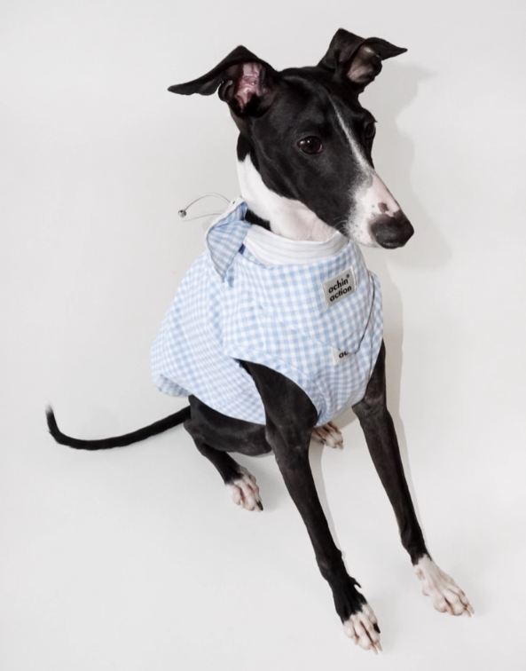 Double-Sided Summer Plaid Top