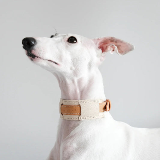 French Lambskin Leather Collar Set Gold & Cream