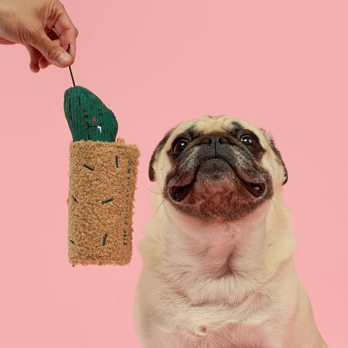 Fried Pickle Nosework Toy