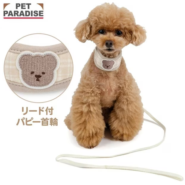 Collar with Leash Little Bear