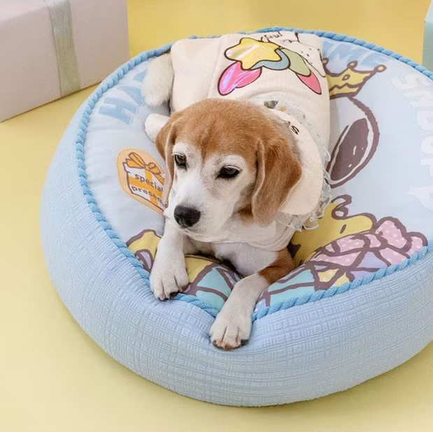 Birthday Snoopy Poncho