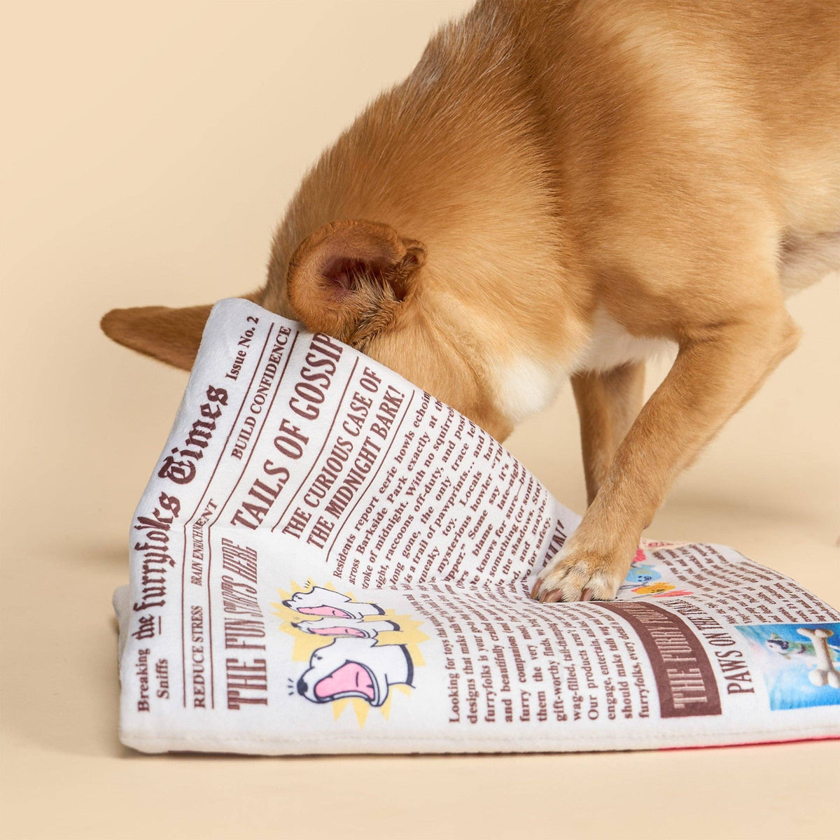 Newspaper Issue No. 2 Nosework Toy