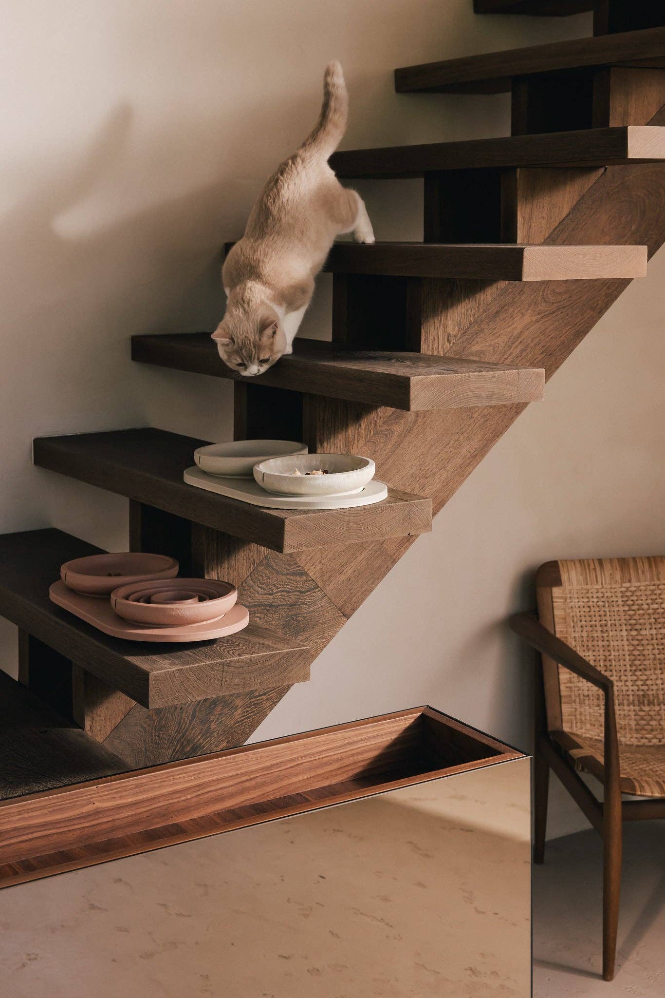 Whisker Friendly Bowl