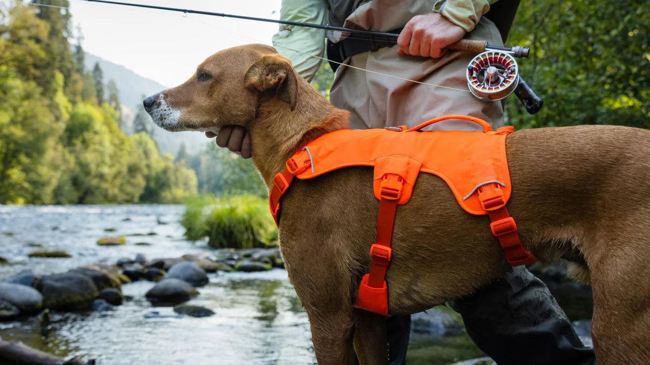 Ruffwear Web Master Dog Harness with Handle