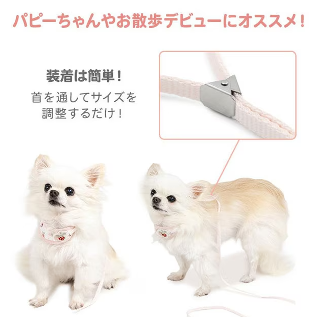 Collar with Leash Little Berry