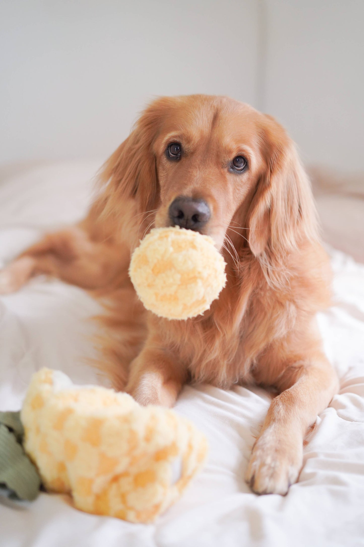 Lambwolf Collective Pineapple Enrichment Toy