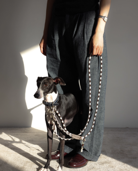 Diamond Lattice Braided Leash with Beads