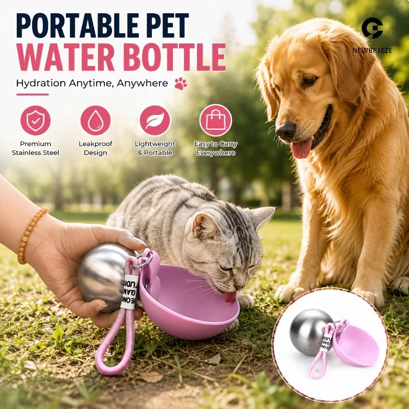 Stainless Steel Water Bottle