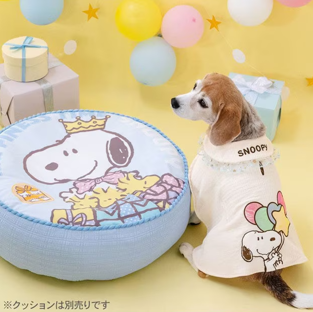 Birthday Snoopy Poncho