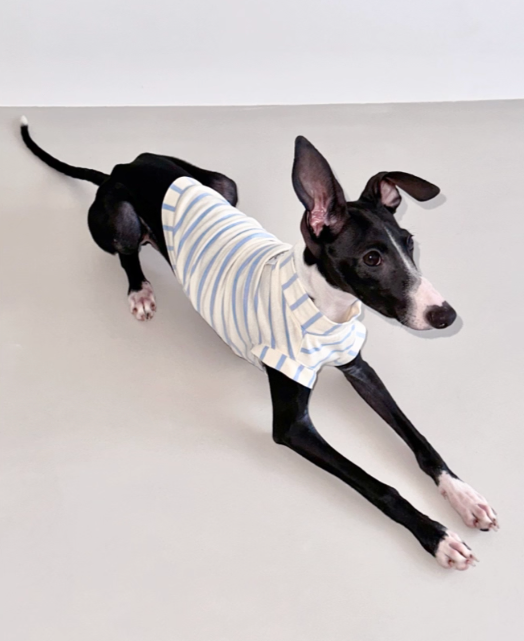 Blue n White Stripes Cotton Top