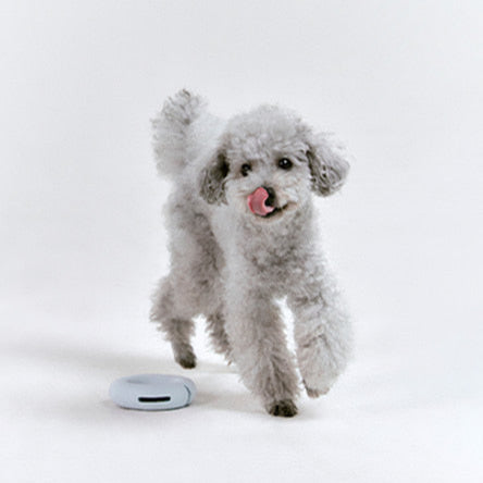 Gori U-Ring Puzzle Toy