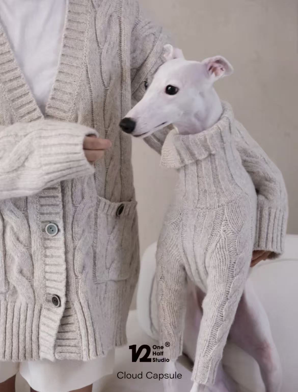 The Cloud Capsule Knit Sweater