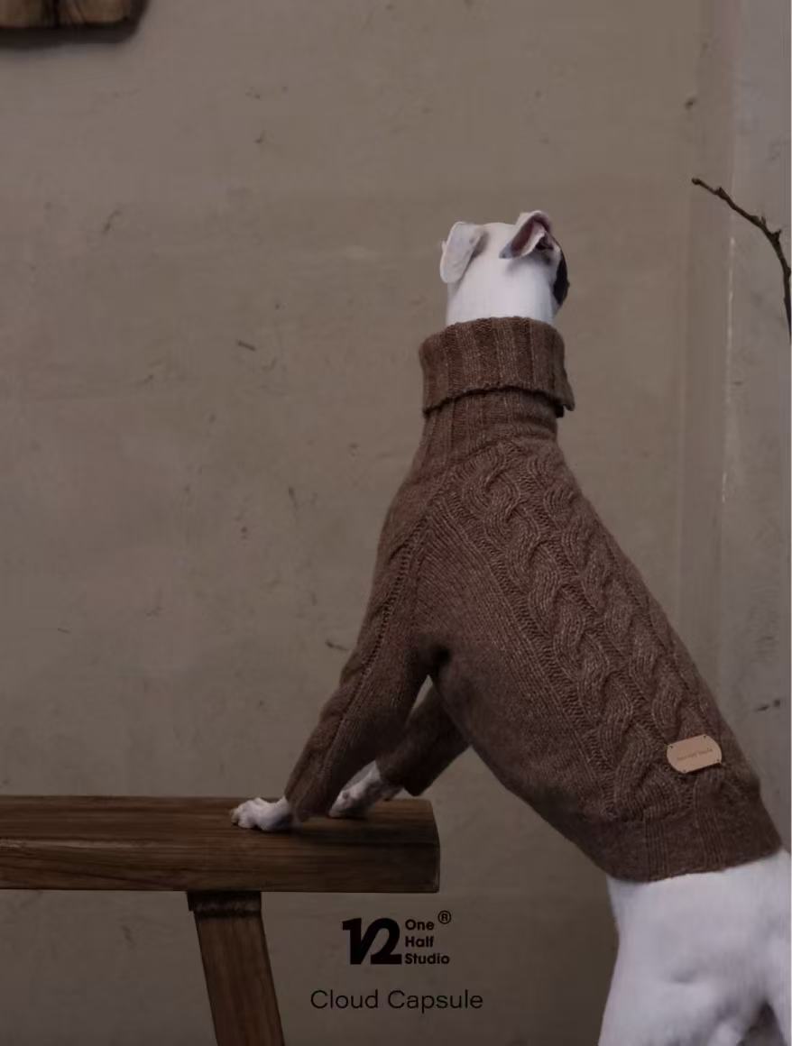 The Cloud Capsule Knit Sweater