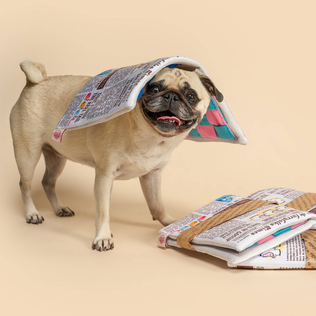 Newspaper Issue No. 2 Nosework Toy