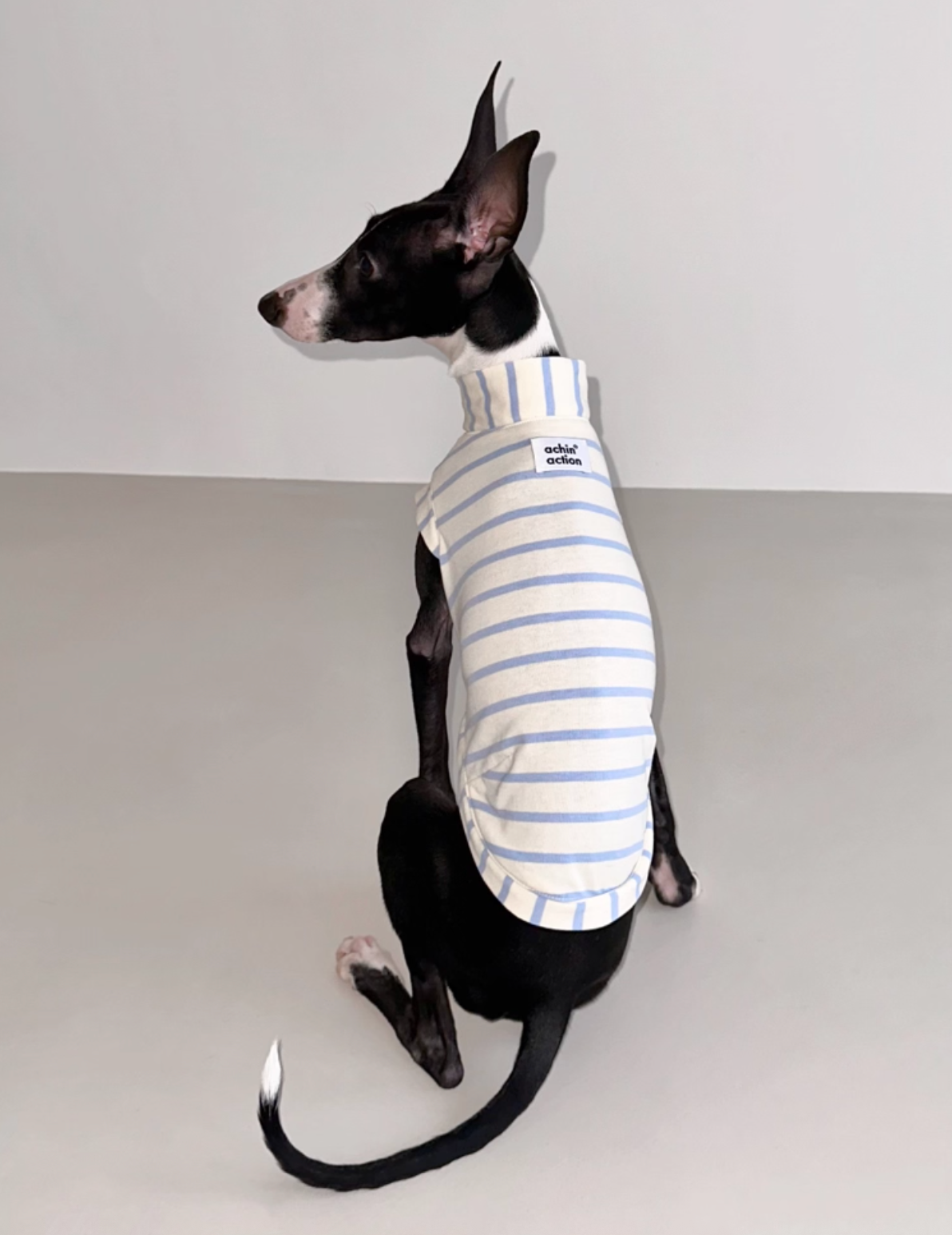 Blue n White Stripes Cotton Top