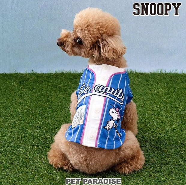 Snoopy Baseball T-Shirt ROYAL BLUE