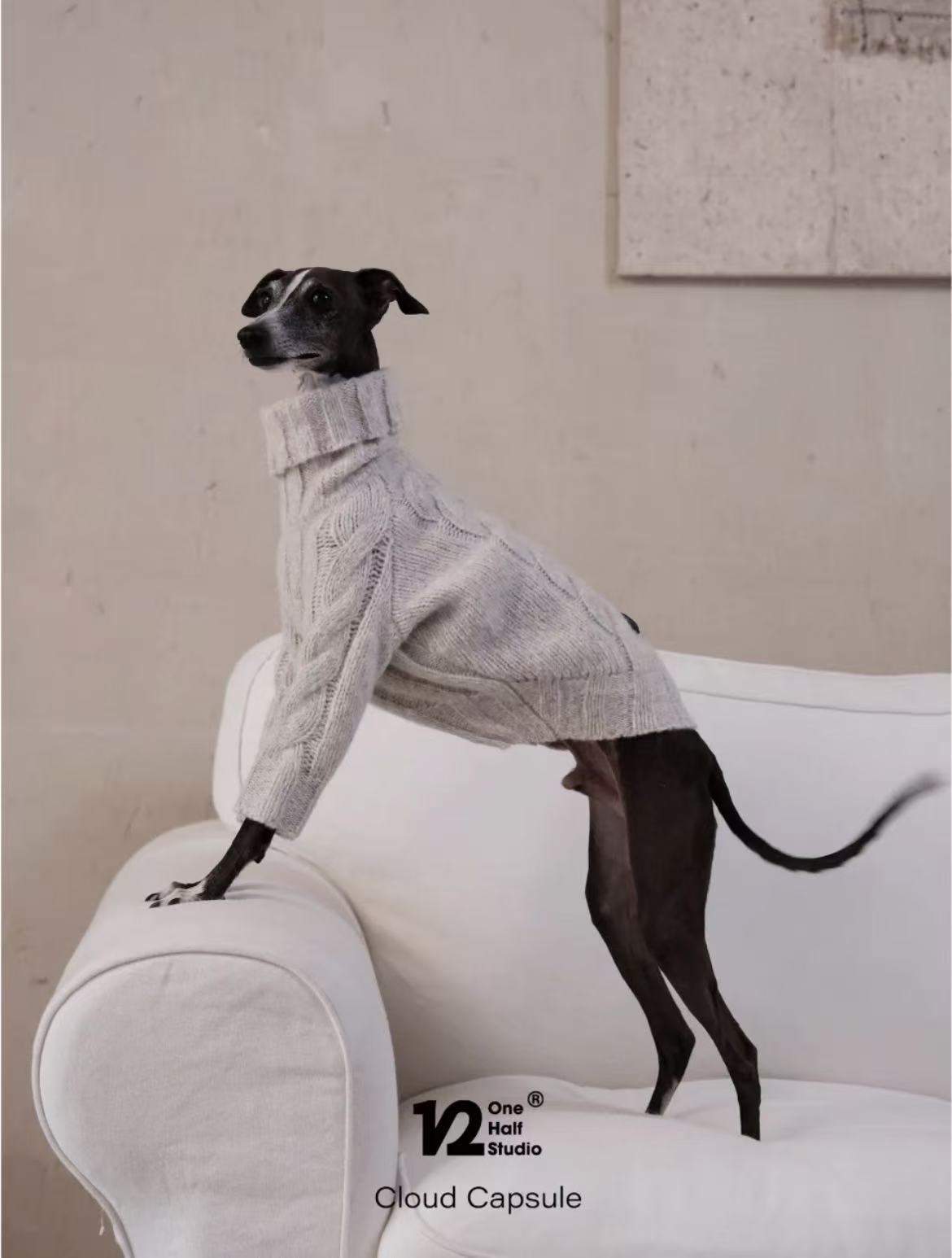 The Cloud Capsule Knit Sweater
