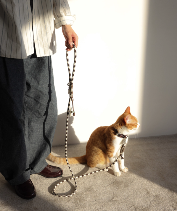 Diamond Lattice Braided Leash with Beads