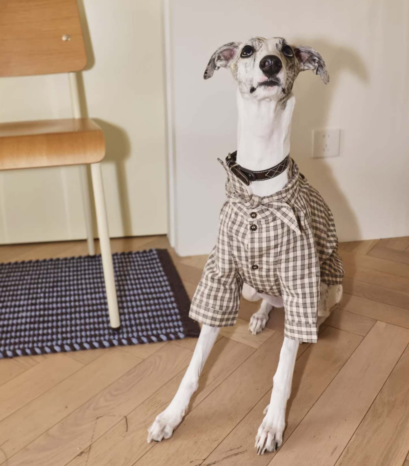 GT Series Hazelnut Plaid Tie-Neck Shirt