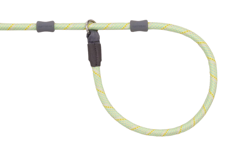 Just-a-Cinch™ Dog Lead
