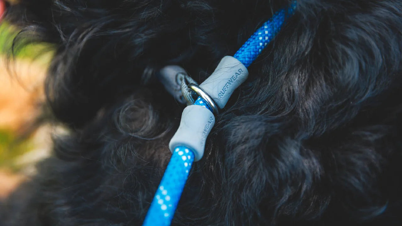 Just-a-Cinch™ Dog Lead