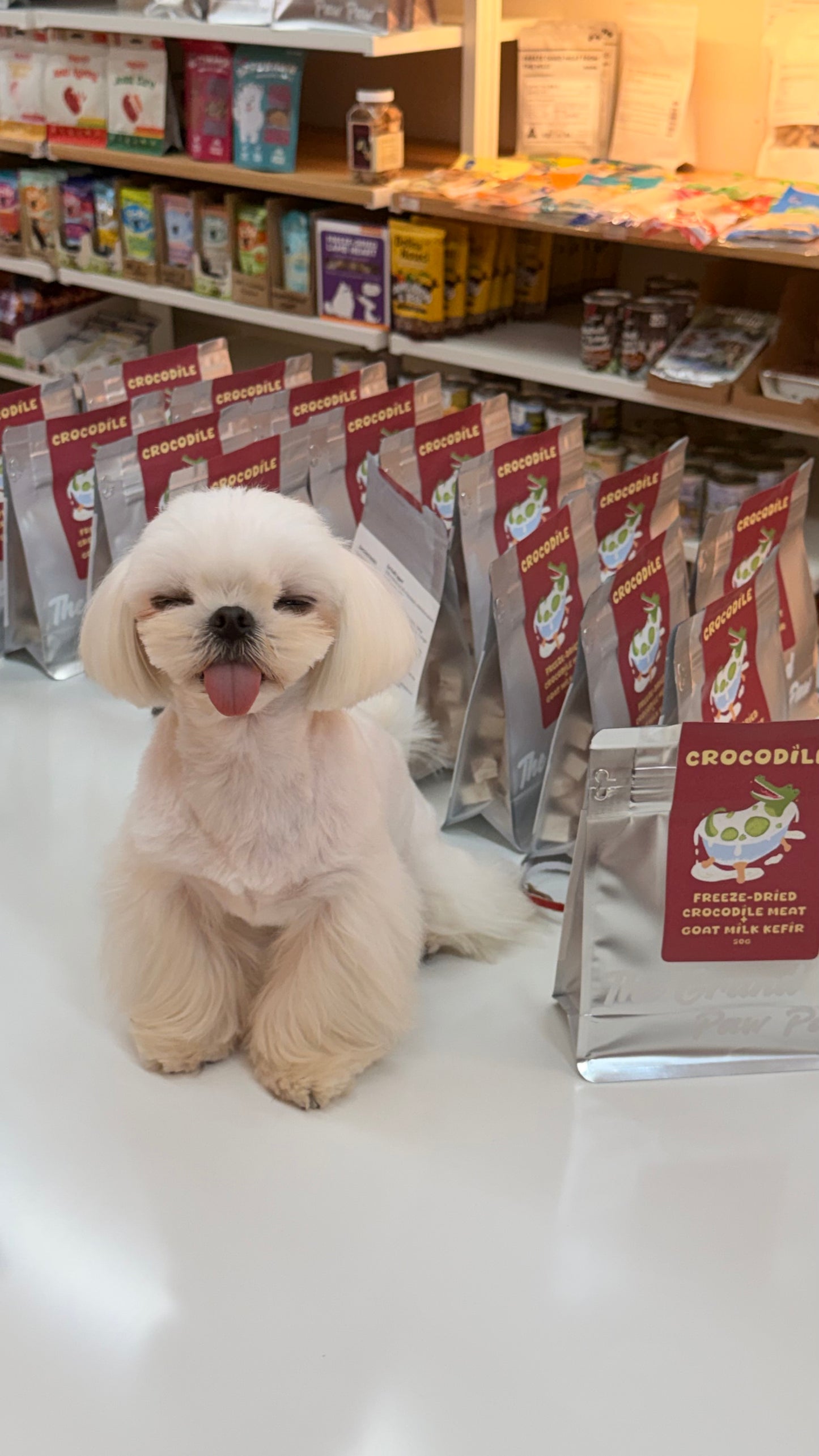 TheGrandPawPaw Freeze-Dried Crocodile+Goat Milk Kefir 50g