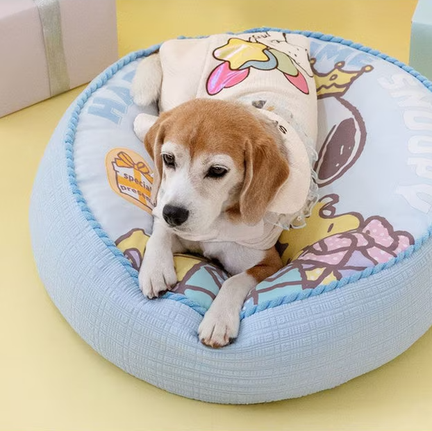 Birthday Snoopy Gift Cushion Cooling Bed 2025 Limited Edition